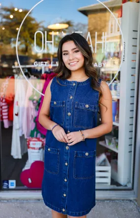 Amber Denim Dress