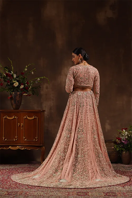 Blush Pink Blouse With Lehenga Trail
